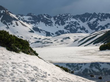 Yüksek Tatras manzarada bahar