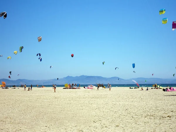 Kitesurfers Tarifa güzel plaj üzerinde. İspanya