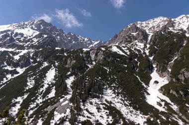 Büyük dağ tepe bahar manzara içinde. Yüksek Tatra Dağları.