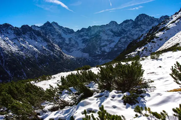 Büyük dağ zirveleri harika sonbahar manzarasını. Yüksek Tatras. — Stok fotoğraf