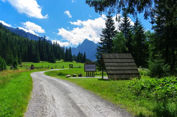 Bielovodska долини. Гарний літній пейзаж у Татрах-Sl — стокове фото