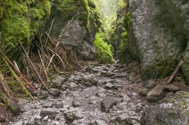 Cracow gorge - en güzel rock gorge Lehçe Western t