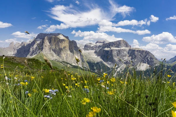 Piękne lato górskiego krajobrazu. Sella grupy. Dolomity. Ita — Zdjęcie stockowe