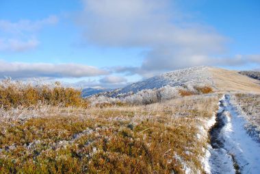 Sonbaharda erken kar. Bieszczady. Polonya.