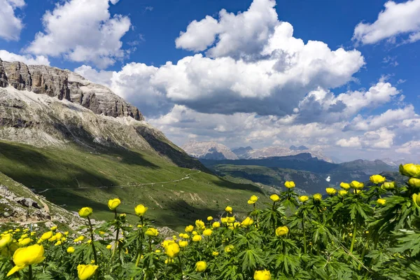 Piękny widok na Dolomity w czerwcu. — Zdjęcie stockowe