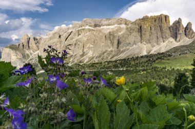 Dolomites'in toplayan güzel yaz. İtalya.