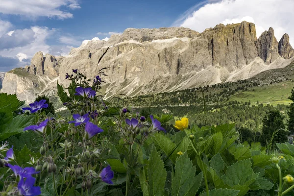Dolomites'in toplayan güzel yaz. İtalya. — Stok fotoğraf