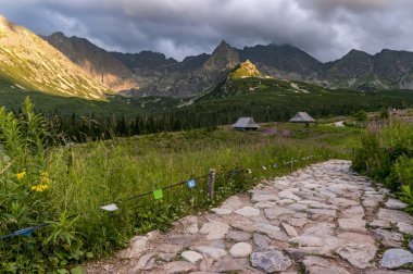 Güzel dağ izi Gasienicowa Vadisi'nde. Tatra yarış