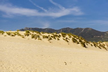 Dağlar çerçevede sahilde kum tepeleri. Tar