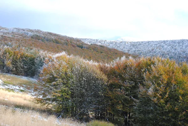 Hermoso paisaje con primera nieve durante el otoño. Bieszczady Na — Foto de Stock