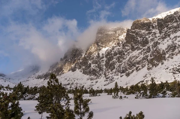 Natureza de inverno no Alto Tatras na Eslováquia . — Fotografia de Stock