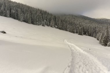Rusinowa Glade kış dağ iz. Tatry.
