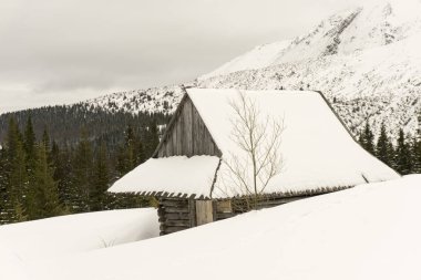 Kış Gasienicowa Vadisi'nde eski kulübede. Tatra Dağları. Po