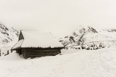 Kış Gasienicowa Vadisi'nde eski kulübede. Tatra Dağları. Po