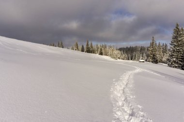 Güzel kış manzara Rusinowa Glade üzerinde. Tatra Dağları.