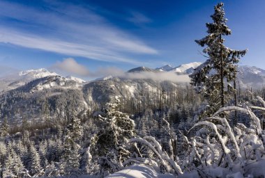 Kış içinde yüksek Tatra Dağları güzelliği.
