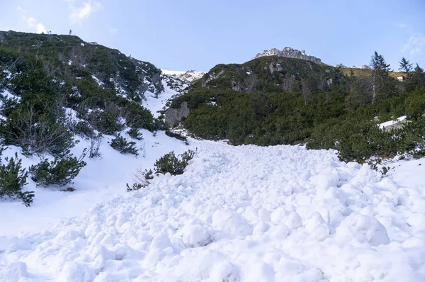 Landscape after the descent of a snow avalanche. Tatra Mountains — Stok fotoğraf