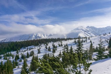 Güneşli bir günde Tatra Dağları'nın büyük karla kaplı tepeler.