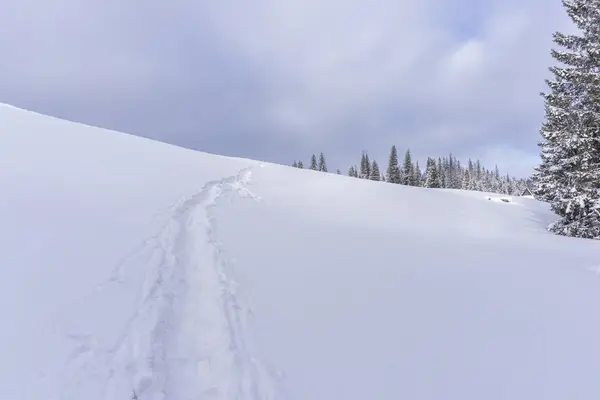 雪の中で冬のトレイル。ルソワ・グレードタトラ山脈. — ストック写真