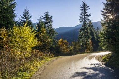 Tatra Ulusal Parkı. Sonbahar manzarası. Morskie Oko Yolu.
