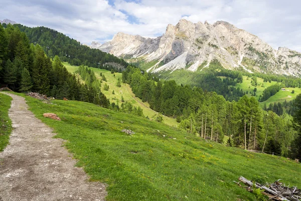 Dolomites güzel dağ manzara . Santa Cristina V