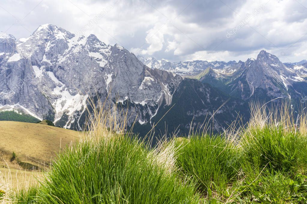 Green mountain grass on the background of the Dolomite peaks.