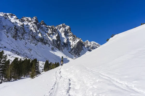 Mala Studena dolina kış. Tatra Dağları. Slovakya.