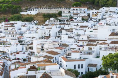 Andalusia tipik beyaz şehirde. Mijas. Costa del Sol.