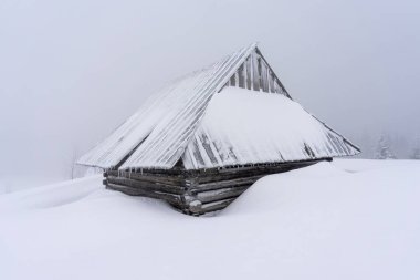 Derin karda eski bir dağ kulübesi. Tatry..