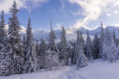 Batan güneşin ışığında büyük dağ zirveleri. Gasienicowa Vadisi. Tatry..