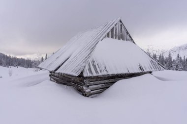 Derin karda eski bir dağ kulübesi. Tatry..