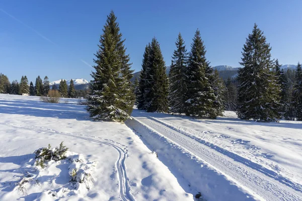 Paisajes Invernales Las Montañas Alrededor Oravice Tatry ...