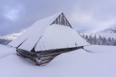 Derin karda eski bir dağ kulübesi. Tatry..