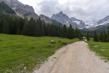 Val Contrin 'in resimli dağ manzarası. Dolomitler.
