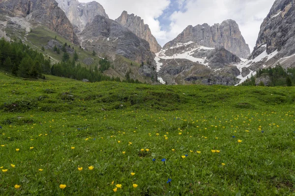 Piękny Letni Widok Masyw Marmolada Val Rosalia Dolomity Włochy — Zdjęcie stockowe