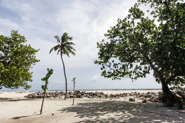 Güneş park Immersed Akdeniz bitki örtüsü
