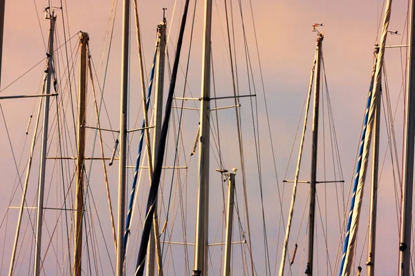 Sailing trees at sunset in the port. — Stock Photo, Image