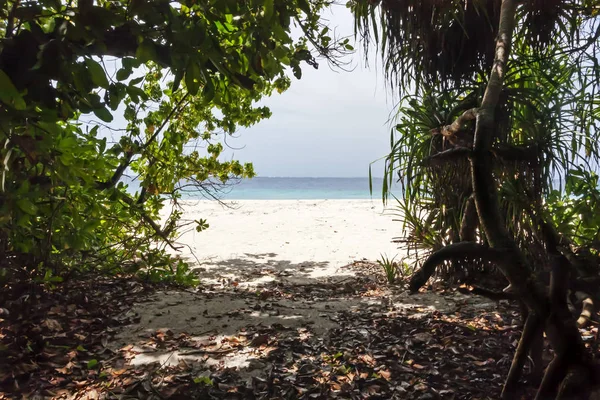 Поглянути на тропічний пляж на Мальдівах — стокове фото