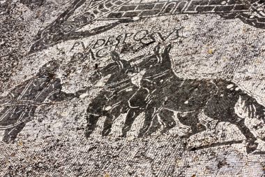 Ayrıntı Cisiarii s termal hamam archaeol içinde Mozaik