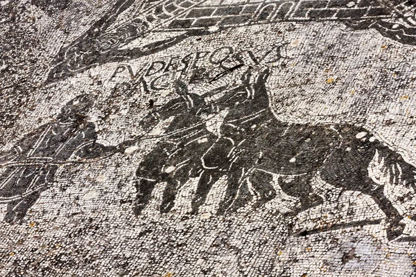 Cisiarii の温泉、脂質でのモザイクの詳細 — ストック写真