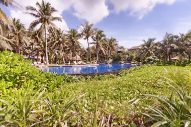 Tropikal bahçe panorama havuzu ve Hainan Adası - Çin şemsiye