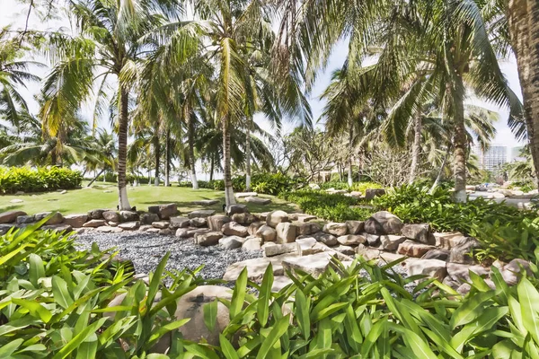 Jardin tropical luxuriant avec cocotiers dans l'île de Hainan - Chine — Photo