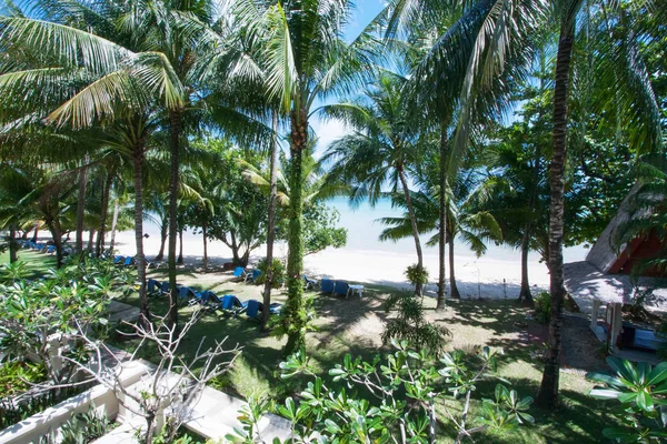 Vue de la plage tropicale en Thaïlande avec palmiers et chaises longues en Thaïlande — Photo