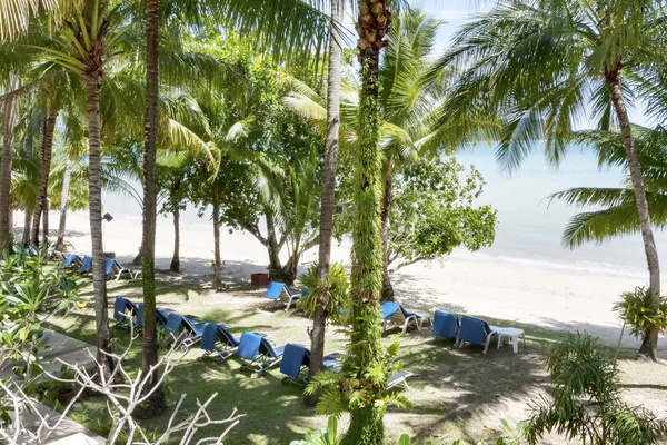 Görünümü şezlong Tayland ve Tayland palmiye ağaçları ile tropikal plaj