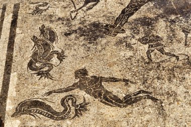 Cisiarii Roma İmparatorluğu termal banyo - ayrıntı frigida Mozaik