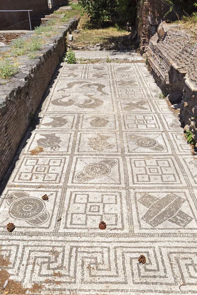 Escavações romanas de Ostia Antica: Mosaico da Província — Fotografia de Stock