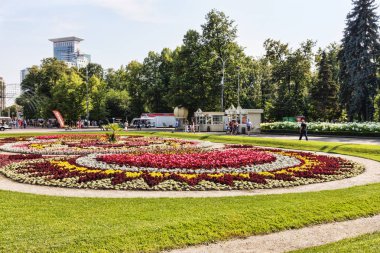Moscow, Rusya Federasyonu - 2 Ağustos 2017: Sokolniki Park zekâ