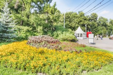 Moskova, güzel bir bahçe ve vejetasyon Sokolniki Park