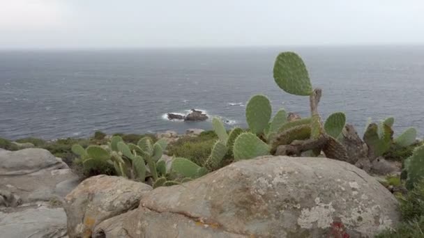 Paesaggio Balneare Sardegna Una Zona Selvaggia Collinare Affacciata Sul Mare — Video Stock