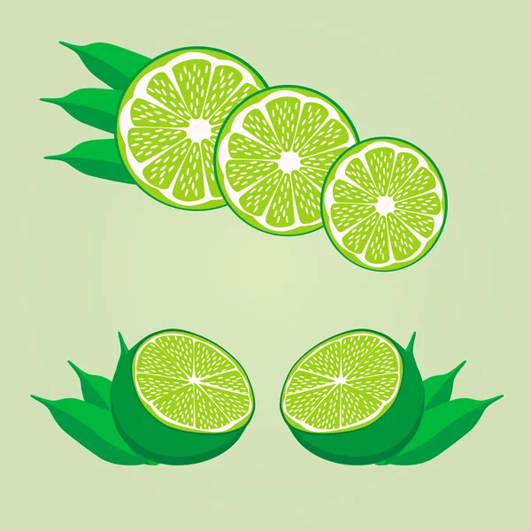 Illustration of logo for the theme lime. — Stock Vector